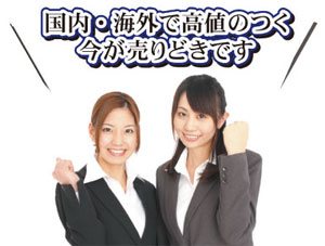 国内・海外で高値のつく今が売り時です