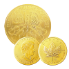 金貨・コイン画像