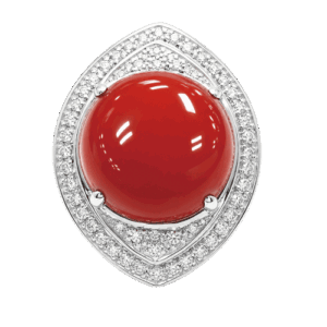 <span class="material">PT</span> サンゴ リング